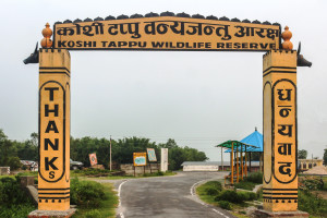 Koshi_Tappu_Wildlife_Reserve_Entrance_Gate.jpg